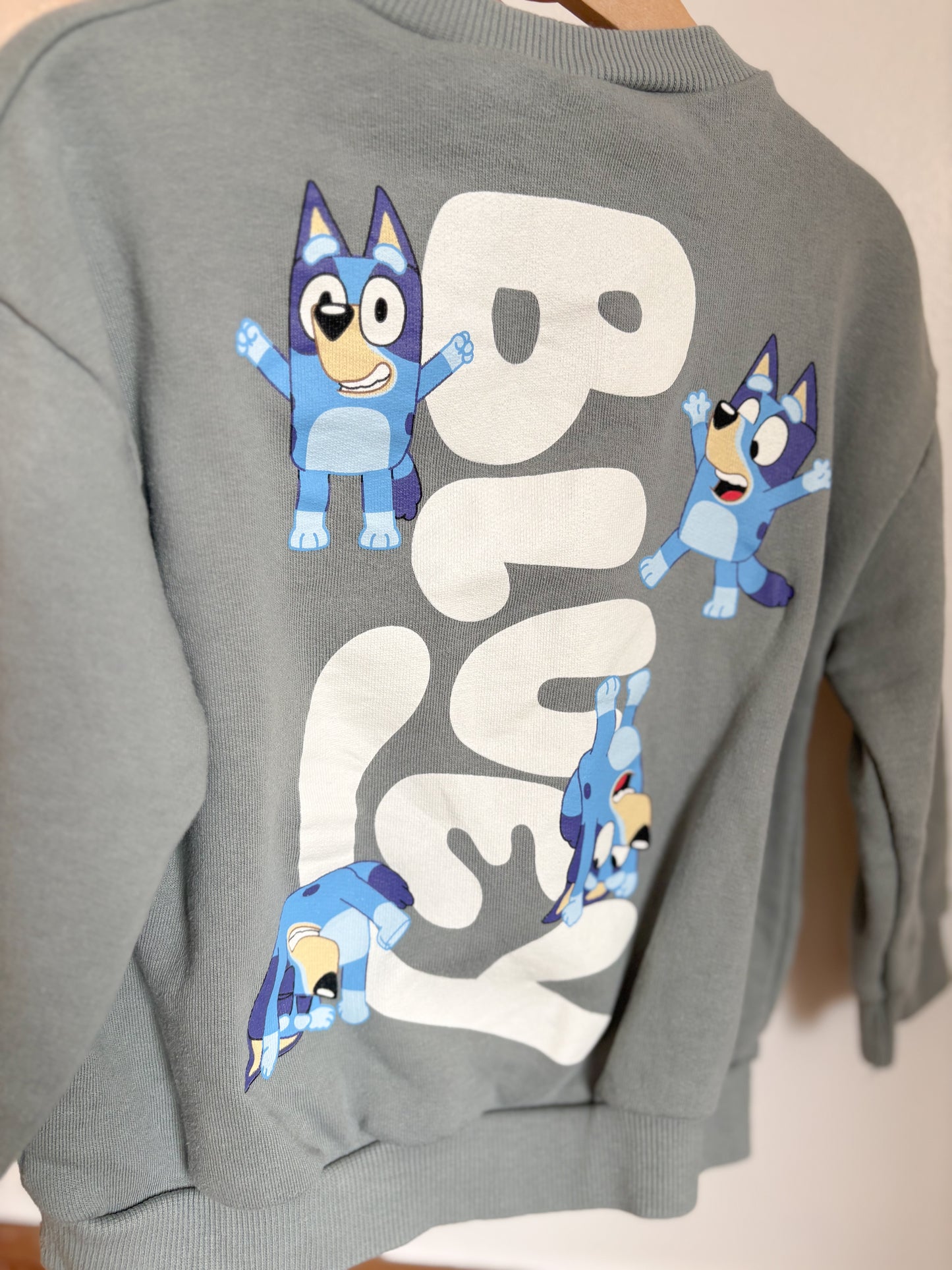 Zara Bluey Sweatshirt 4T